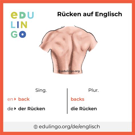 rücken englisch|English translation of rücken